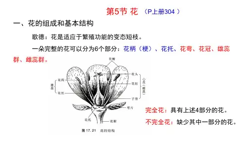 生物竞赛之植物形态解剖学 05 花的结构