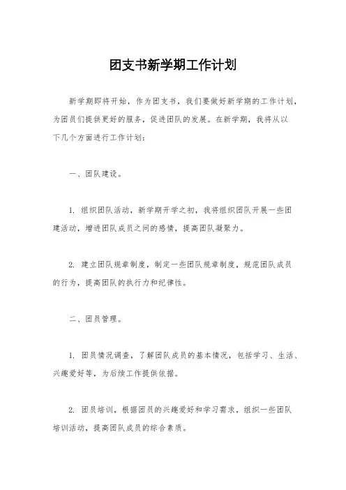 团支书新学期工作计划