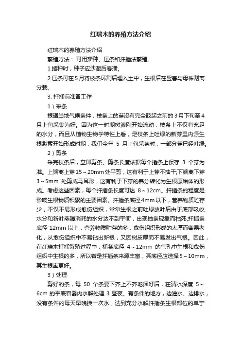 红瑞木的养殖方法介绍