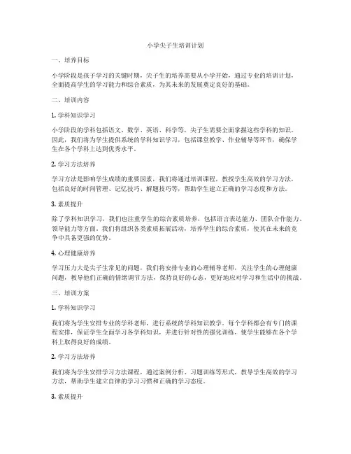 小学尖子生培训计划