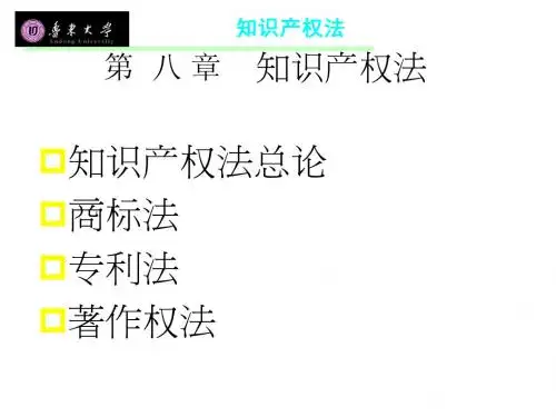 知识产权法