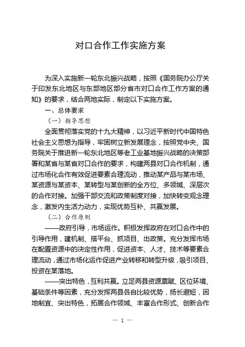 对口合作工作实施方案