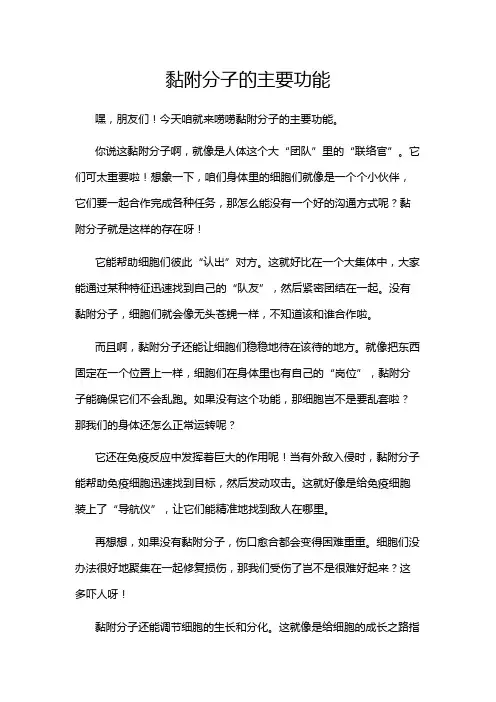 黏附分子的主要功能