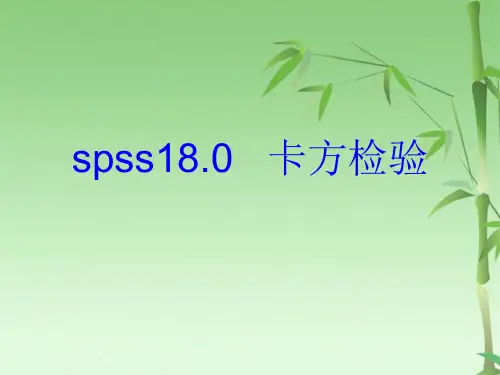 SPSS 卡方检验(共45张PPT)