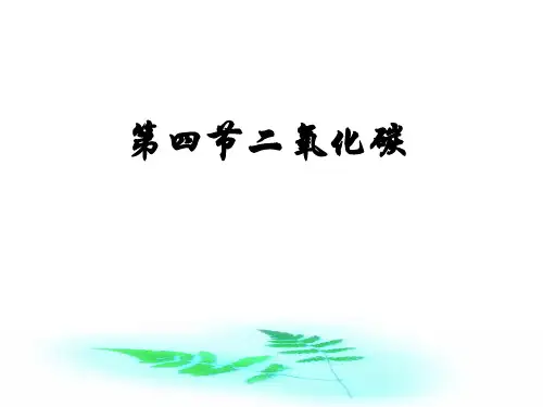 二氧化碳的制取PPT课件(初中科学)