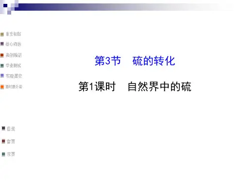 《硫的转化第一课时》课件4