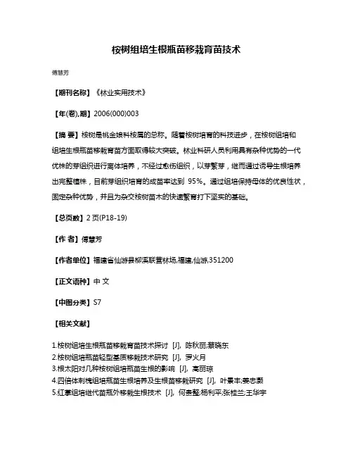 桉树组培生根瓶苗移栽育苗技术