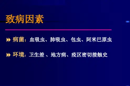 肺寄生虫病-X线CT