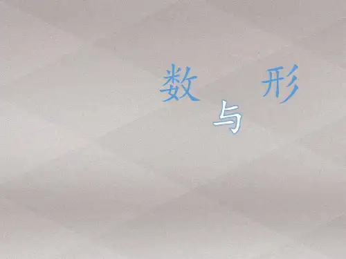 六年级上册数学课件-8 数学广角——数与形｜人教版(共19张PPT)