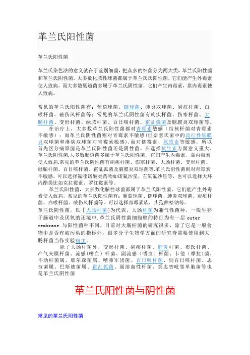 细菌分类大全