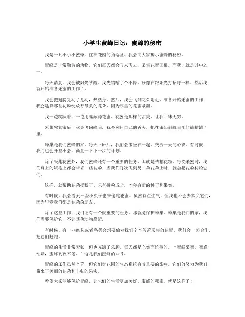 小学生蜜蜂日记：蜜蜂的秘密