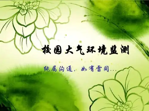 大气监测实训报告
