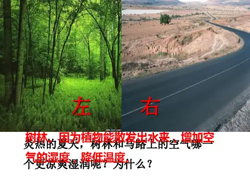 济南版七上生物 2.1.2绿色植物的蒸腾作用 课件
