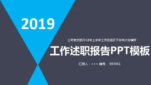 公司党支部2018年上半年工作总结及下半年计划模板