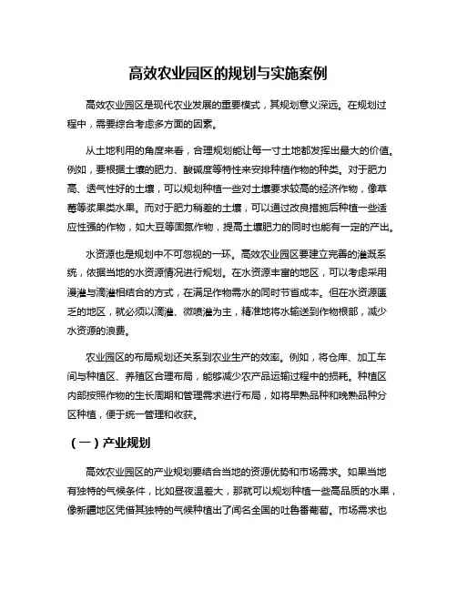 高效农业园区的规划与实施案例