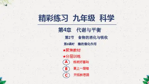 浙教版九年级上册科学课件：4.2.3酶的催化作用