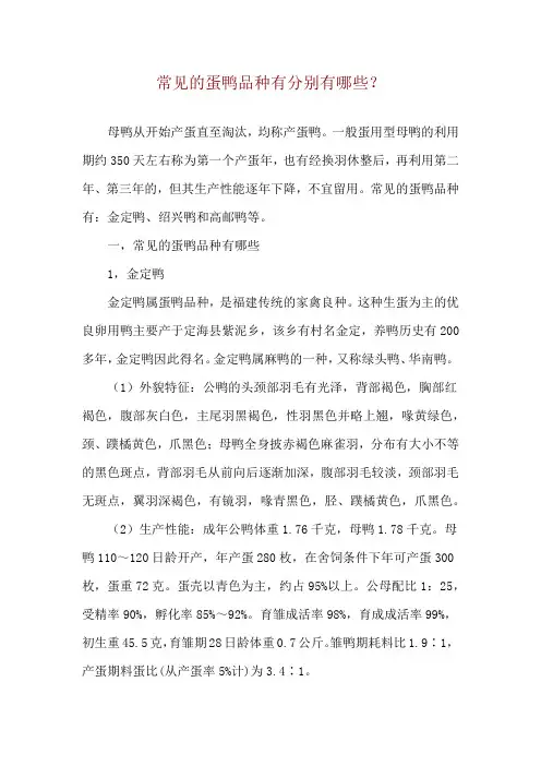 常见的蛋鸭品种有分别有哪些？