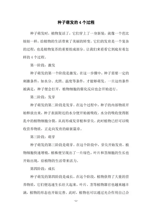种子萌发的4个过程