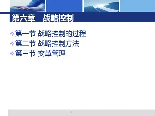 第六章公司战略与风险管理PPT课件