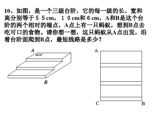1.3蚂蚁怎样走最近习题