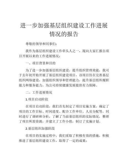进一步加强基层组织建设工作进展情况的报告