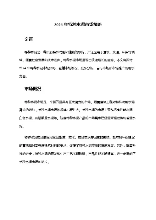 2024年特种水泥市场策略