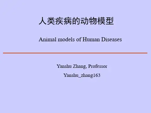 实验动物模型-PPT课件