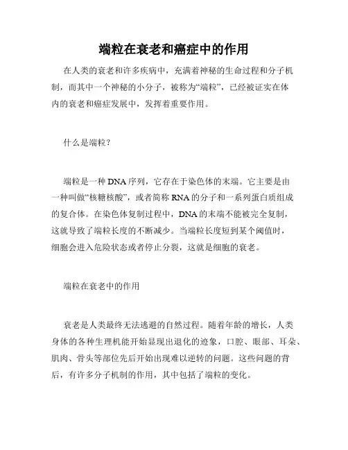 端粒在衰老和癌症中的作用