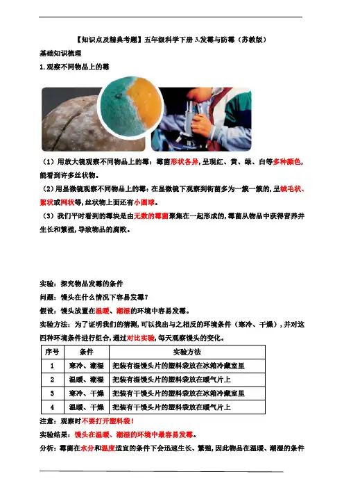 苏教版五年级科学下册知识点及精典考题：发霉与防霉
