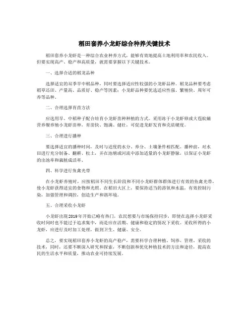 稻田套养小龙虾综合种养关键技术