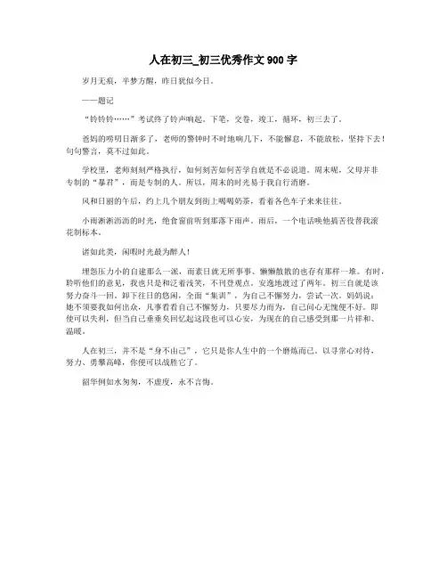 人在初三_初三优秀作文900字
