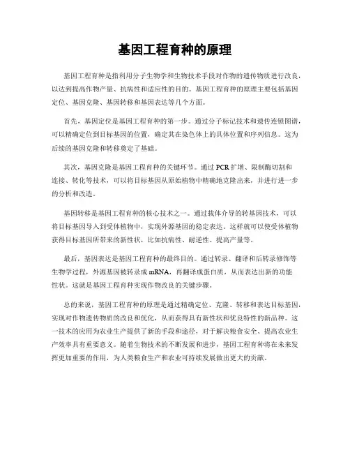 基因工程育种的原理