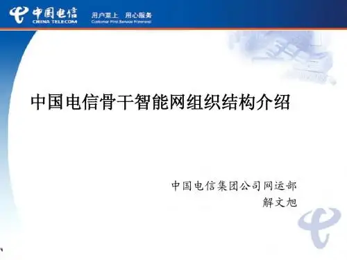骨干智能网组织结构(新)