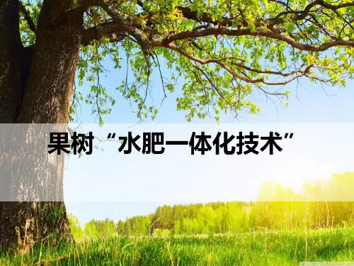 果树“水肥一体化技术PPT课件精选全文