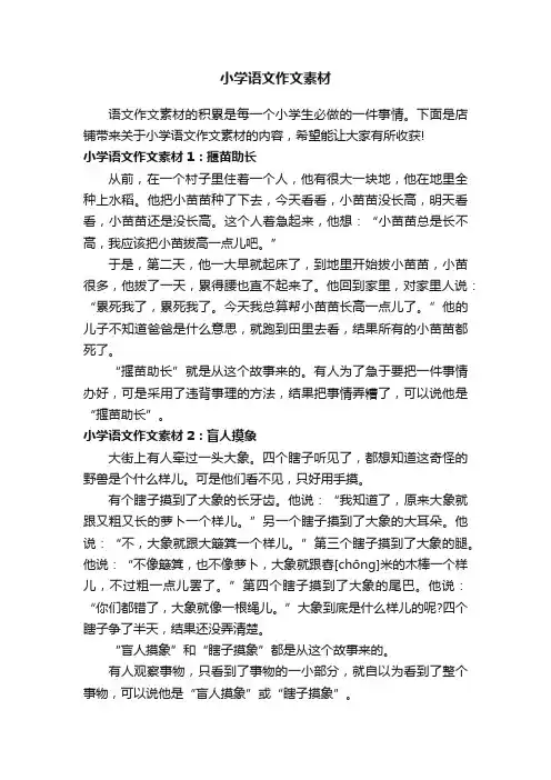 小学语文作文素材