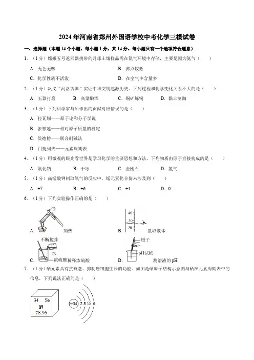 2024年河南省郑州外国语学校中考化学三模试卷(含解析)