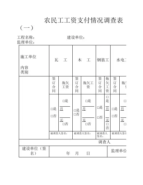 农民工工资支付情况调查表