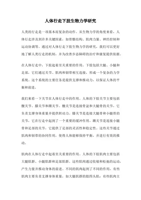 人体行走下肢生物力学研究
