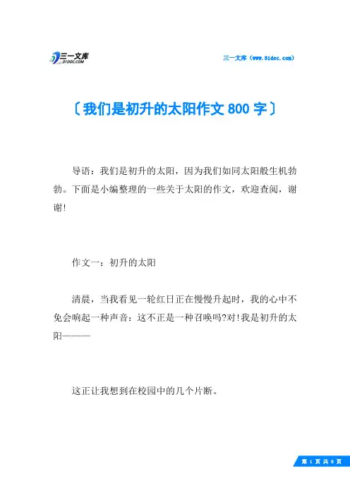 我们是初升的太阳作文800字
