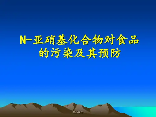 N-亚硝基化合物