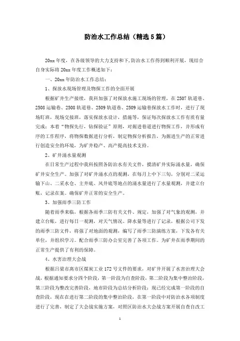 防治水工作总结范文精选