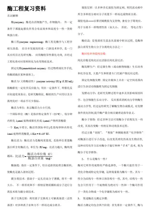食品专业酶工程复习资料
