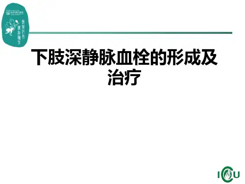 下肢深静脉血栓的形成及治疗PPT课件
