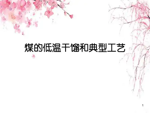 煤的低温干馏和典型工艺