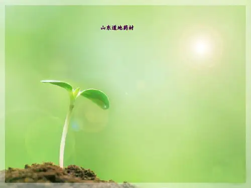 山东道地药材ppt课件
