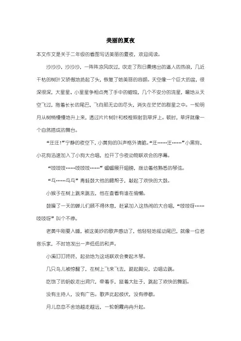 小学二年级看图写话：美丽的夏夜