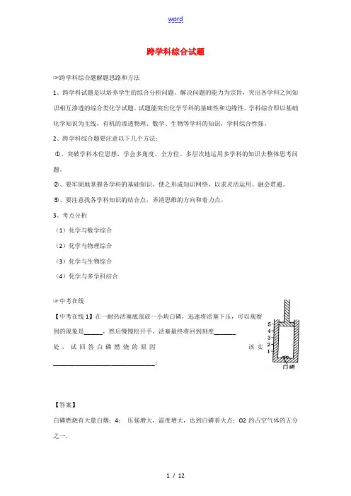 中考化学考前冲刺专题6 跨学科综合试题