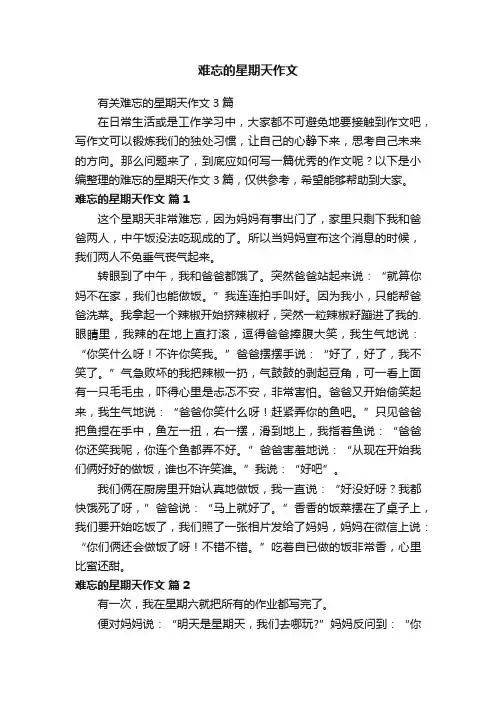 难忘的星期天作文