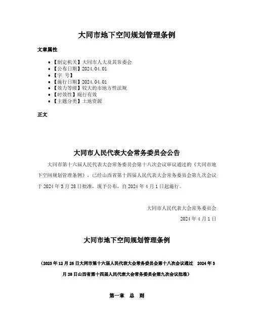大同市地下空间规划管理条例
