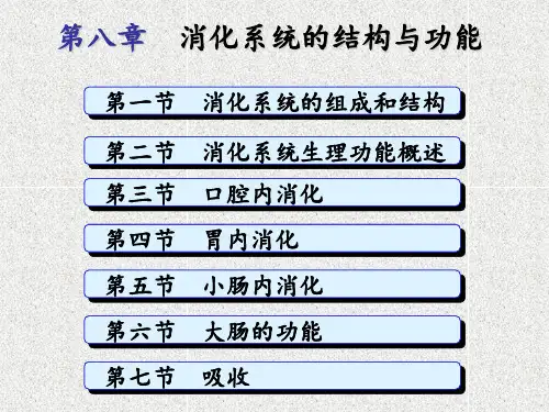 消化系统的结构与功能